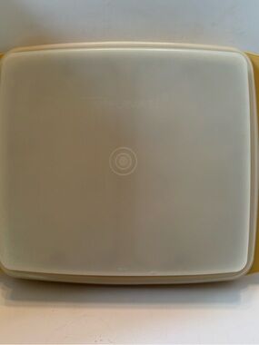 VTG Tupperware Egg Carrier